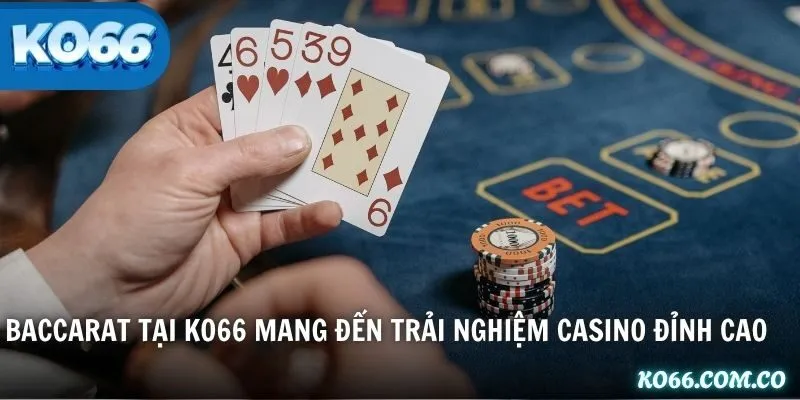 Baccarat tại KO66 mang đến trải nghiệm casino đỉnh cao