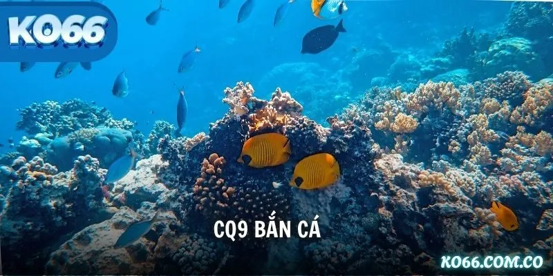 CQ9 Bắn Cá – Các Tựa Game Hot & Hướng Dẫn Trải Nghiệm