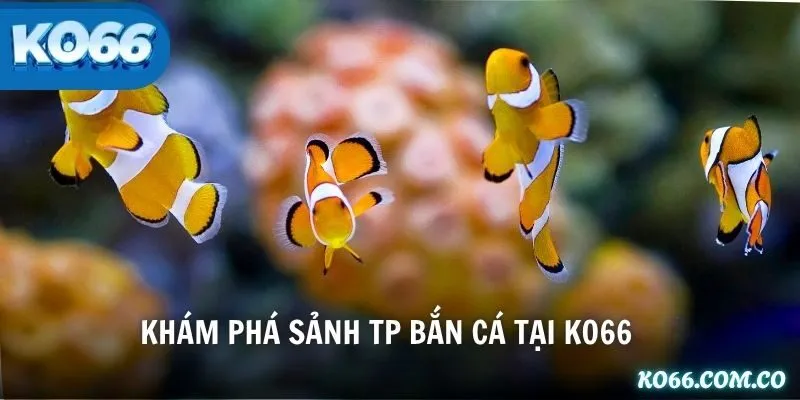 Khám phá sảnh TP Bắn Cá tại KO66
