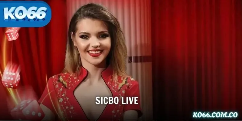 Sicbo Live – Trải Nghiệm Chơi Xúc Xắc Trực Tiếp Cùng Dealer