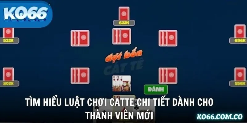 Tìm hiểu luật chơi Catte chi tiết dành cho thành viên mới